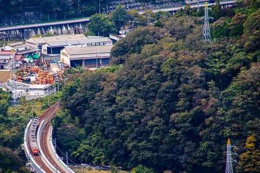 緑の森を切り裂く、鉄路のカーブの写真