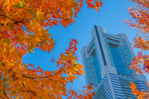 青空と紅葉とランドマークタワー 横浜,みなとみらい,ランドマークタワーの写真素材