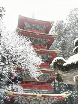 冬の日光東照宮 冬の日光東照宮 五重塔,石灯籠,日光東照宮の写真素材
