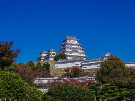 【兵庫県】姫路市・姫路城 姫路城,姫路公園,姫路市の写真素材
