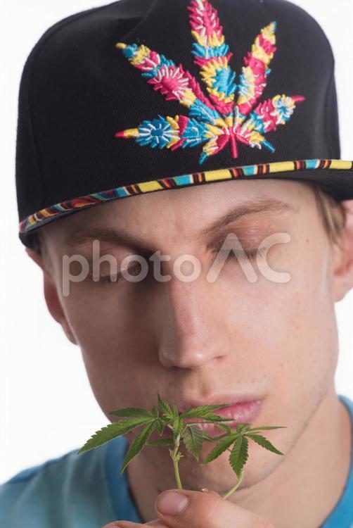 大麻の苗を持つ若者7 男性,外国人,アップの写真素材