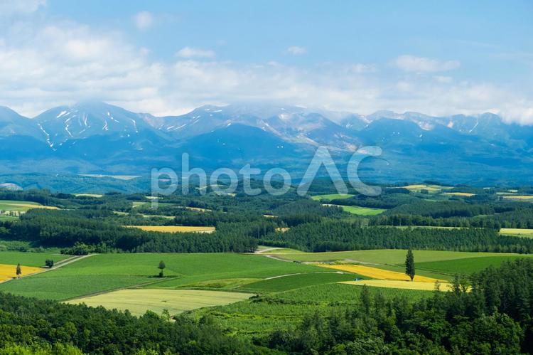 北海道 就実の丘から大雪山方向の眺望 北海道,丘の町,大雪山の写真素材