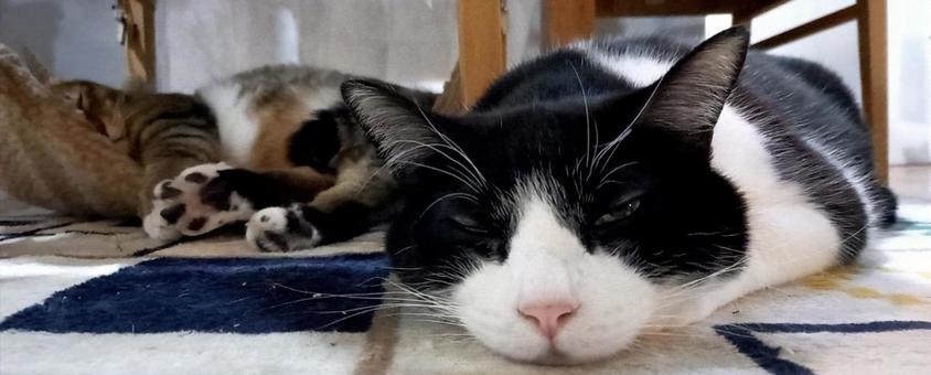 実は奥にも…? 実は奥にも…?の写真