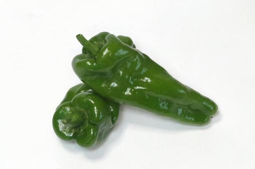 ピーマン収穫の写真