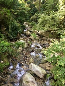 森の中を流れる川 森の中を流れる川 川,マイナスイオン,自然の写真素材