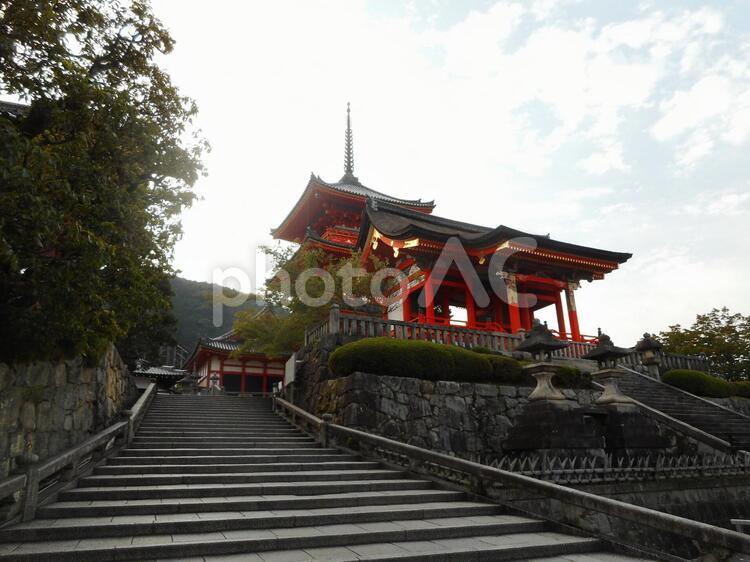 古都京都の文化財（清水寺） 清水寺,古都京都の文化財,世界遺産の写真素材