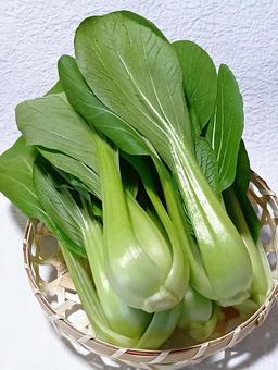 チンゲンサイの写真