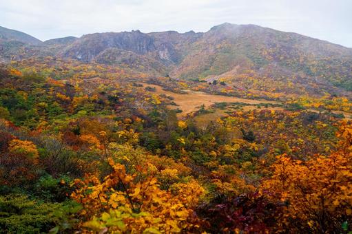 栗駒山 紅葉の湿原と岩峰 栗駒山 紅葉の湿原と岩峰 秋,紅葉,黄葉の写真素材
