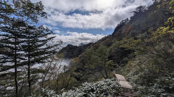 雲海に浮かぶ石鎚登山道 登山道,雲海,登山の写真素材