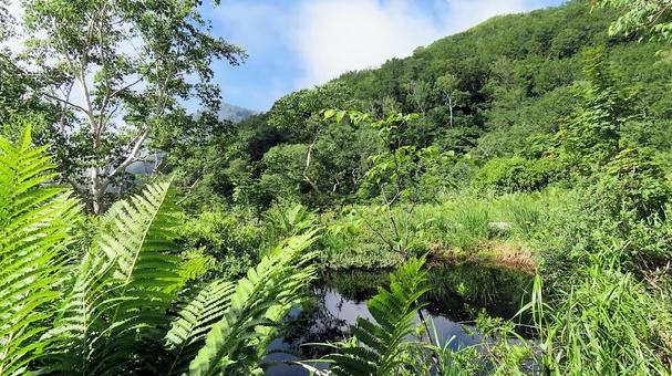 Summer sky and mountains reflected in the swamp at Hakuba Goryu Jizo, JPG