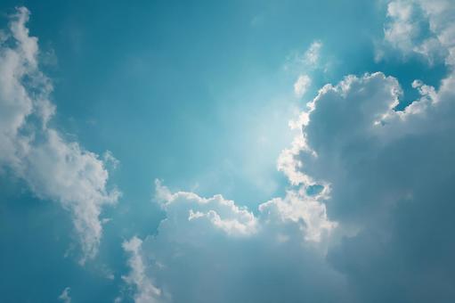 見上げる澄み切った夏の空 見上げる澄み切った夏の空の写真