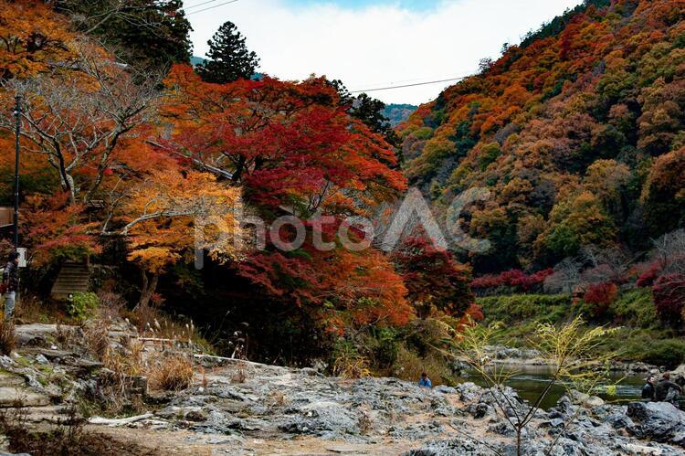 秋の景色 紅葉,風景,自然の写真素材