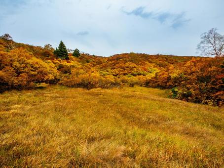紅葉の栗駒山(須川岳) 紅葉の栗駒山(須川岳) 栗駒山,須川岳,神の絨毯の写真素材