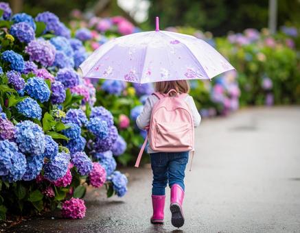 紫陽花と少女 紫陽花と少女の写真