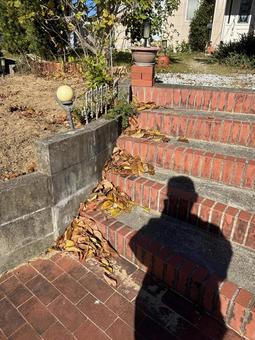 レンガ階段の落ち葉3 レンガ,階段,落ち葉の写真素材