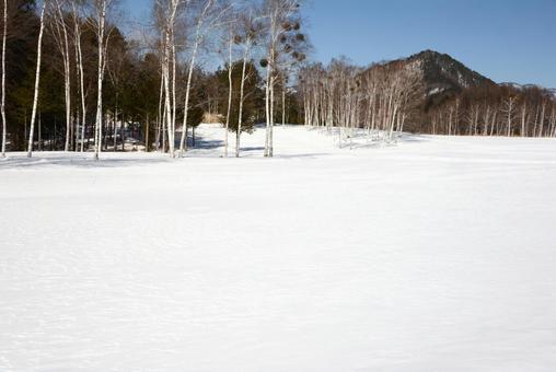 雪原 冬,冬景色,風景の写真素材