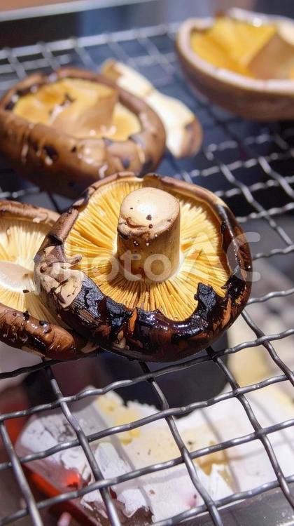 秋の味覚　椎茸の炭火焼き しいたけ,秋の味覚,炭火焼きの写真素材