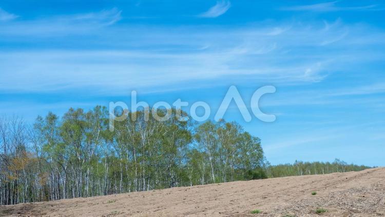 ニセコの畑風景 田舎,風景,ニセコの写真素材