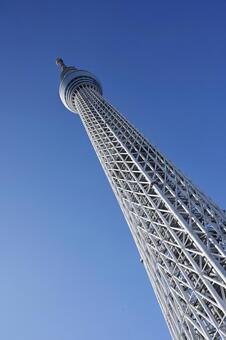 東京スカイツリー 東京スカイツリー,スカイツリー,ランドマークの写真素材