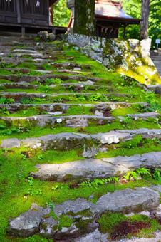 Photo, stage, moss, stone steps, 