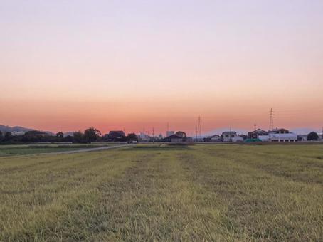 マジックアワーと黄金色の稲穂 マジックアワー,夕焼け,空の写真素材