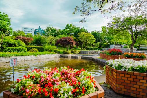 【青森】青い森公園 2025 【青森】青い森公園 2025の写真