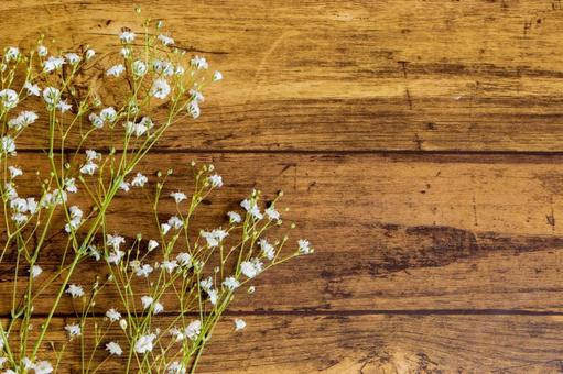 フローリングにカスミソウの写真