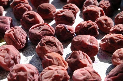 梅干し 梅干し,赤,梅の写真素材