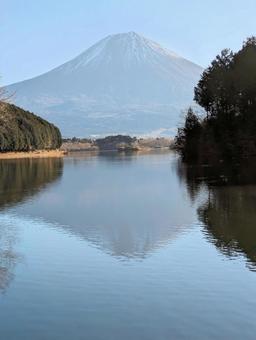 冬の田貫湖の湖面に映る逆さ富士 富士山,冬景色,田貫湖の写真素材