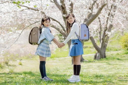 桜並木　仲良し　小学生 桜,小学生,女の子の写真素材