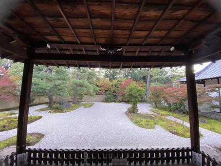 お寺のお庭 お寺のお庭の写真