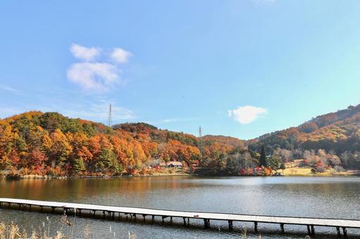 紅葉　長野県　聖湖 湖,自然,晴れの写真素材