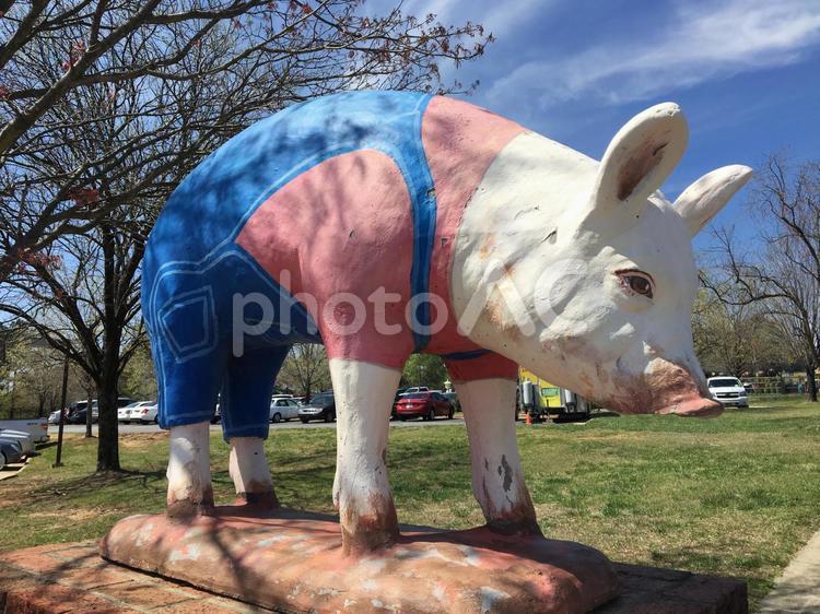 ぶたの置物 ぶた,快晴,置物の写真素材