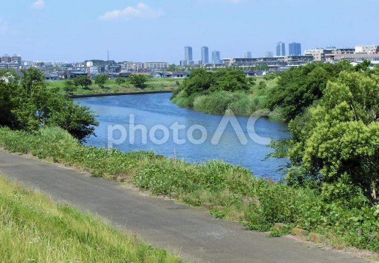 初夏の鶴見川【横浜】 鶴見川,川,河川の写真素材