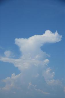青空と雲 青空と雲の写真