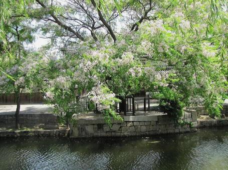 【風景写真】倉敷の風景 【風景写真】倉敷の風景の写真