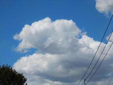 【風景写真】夏空 【風景写真】夏空の写真
