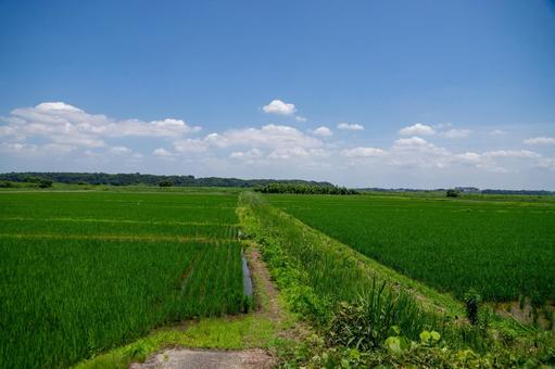 田園風景 田園風景 田園風景,田舎,田舎暮らしの写真素材