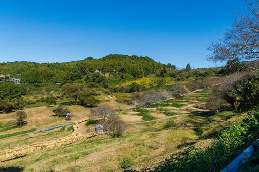 静岡県菊川市　千框(せんがまち)の棚田 日本,静岡県,菊川市の写真素材