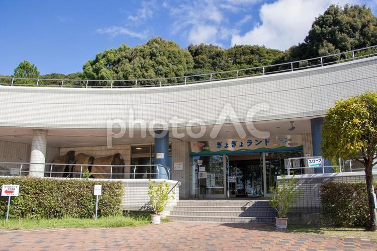 ぎょぎょランド ぎょぎょランド,水族館,赤塚山公園の写真素材