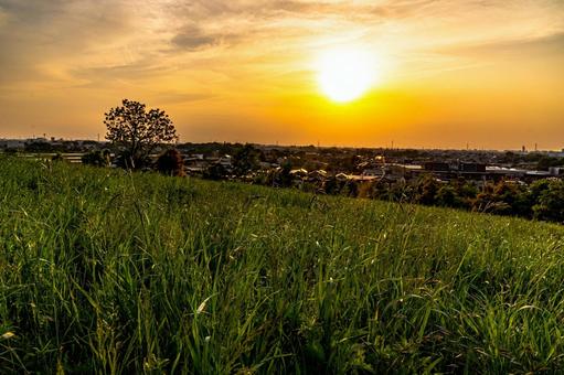 芝生の先に広がる住宅地と夕焼け 芝生の先に広がる住宅地と夕焼け 夕日,夕方,夕暮れの写真素材