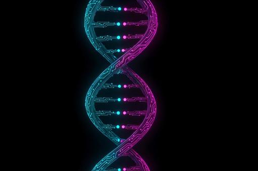 デジタル螺旋の写真