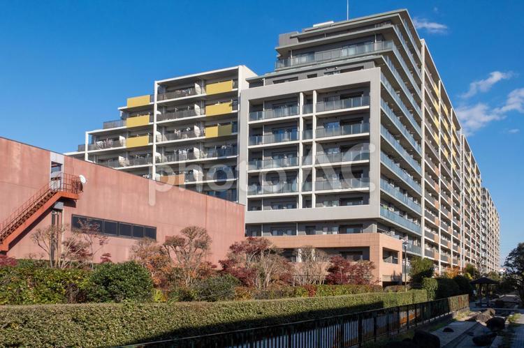 巨大マンションと青空 巨大マンション,集合住宅,青空の写真素材