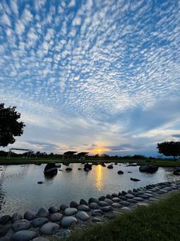 いわし雲と夕日と水鏡 いわし雲と夕日と水鏡 夕日,イワシ雲,水鏡の写真素材
