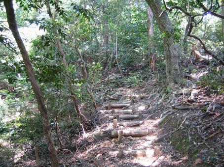 菩提山城 登山道 ハイキングコース 菩提山城 登山道 ハイキングコースの写真