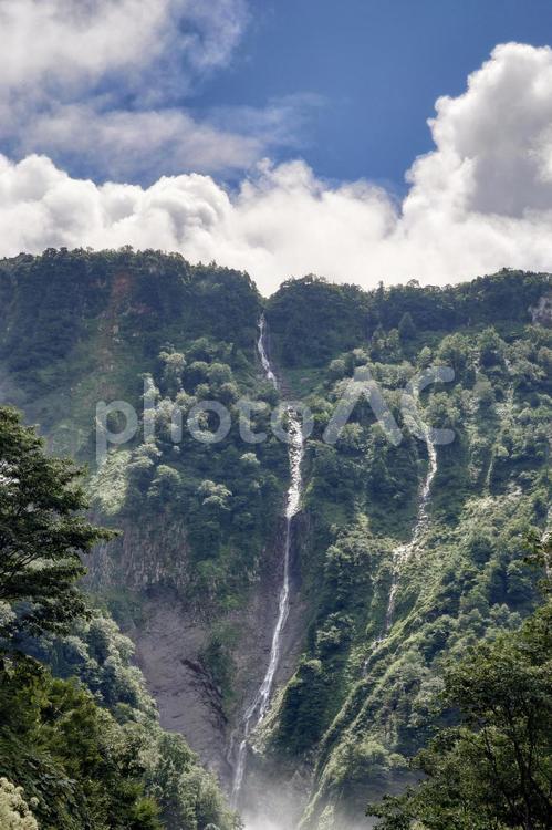 富山県-ハンノキ滝と無名滝 ハンノキ滝,無名滝,滝の写真素材