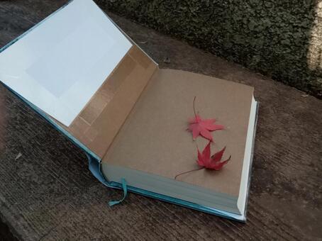 秋の読書 読書,本,資料の写真素材