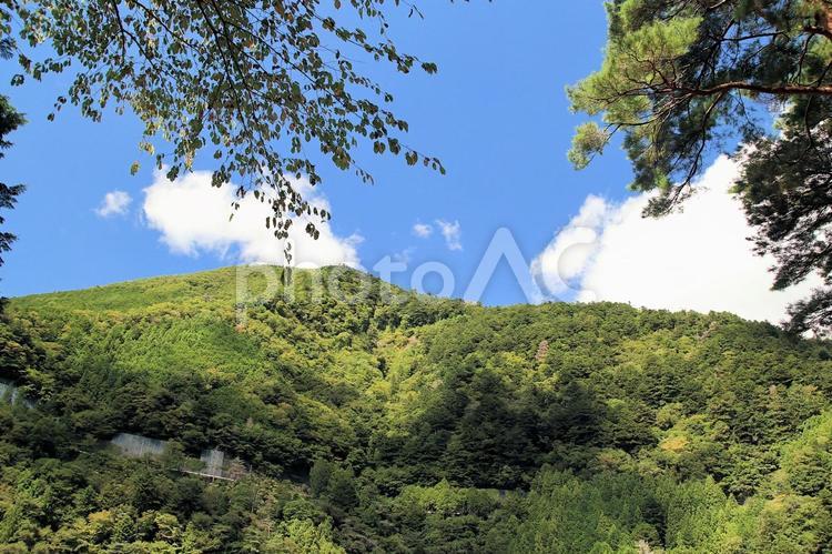 晩夏の奥大井の風景 山,森林,奥大井の写真素材