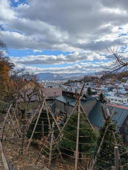 冬支度 風景,冬囲い,景色の写真素材