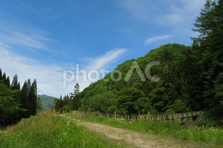 山の景色 森,山,木の写真素材